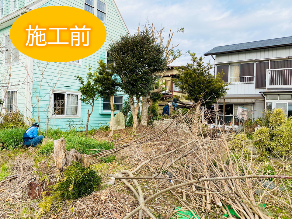 Before画像