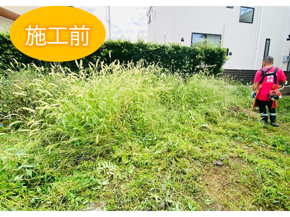 Before画像